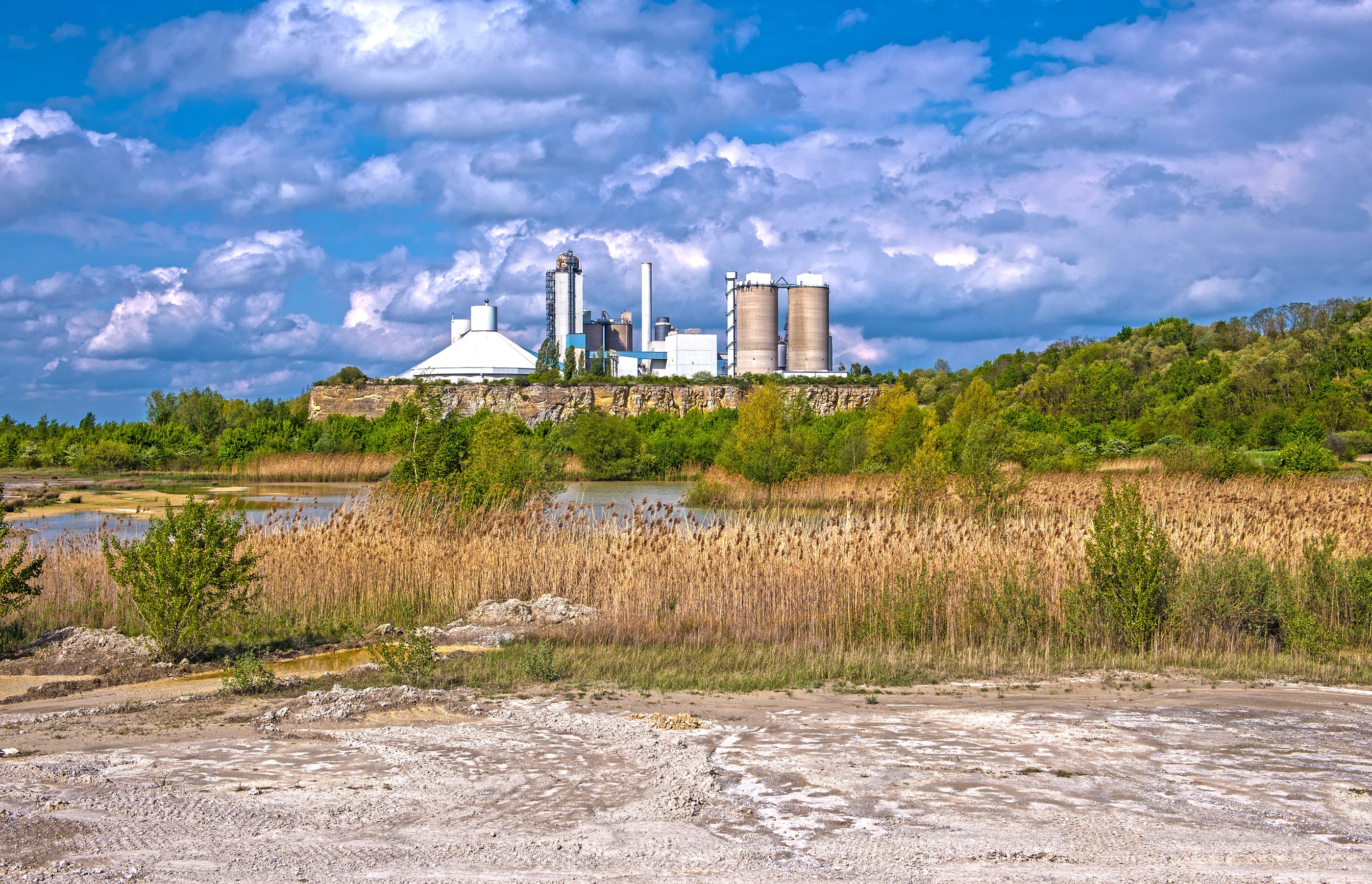 A lake covered with reed in front of a cement plant