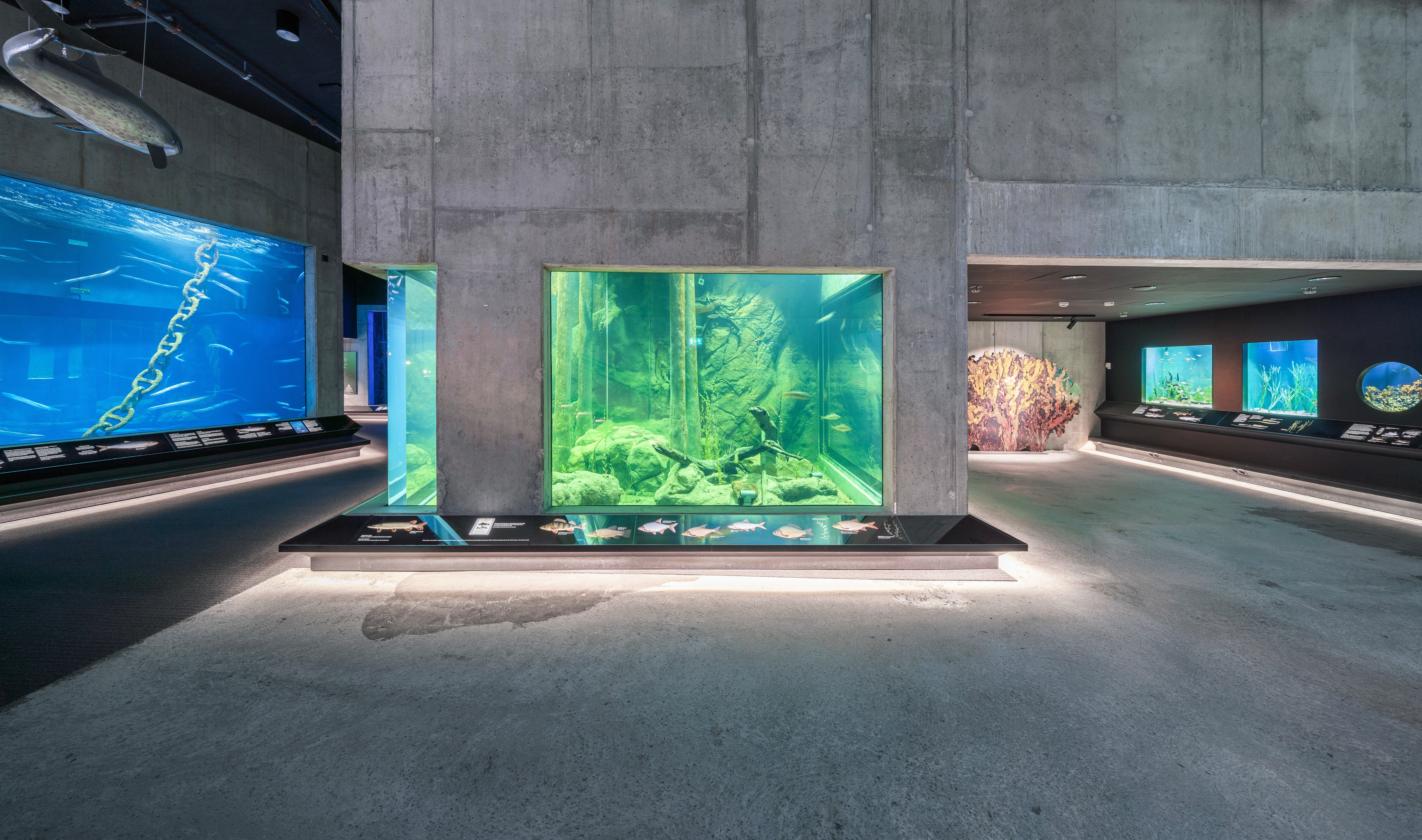 Ein Aquarium in der Mitte eines großen Innenraums; das Aquariumbecken, die Wände und die Decke sind aus Beton.