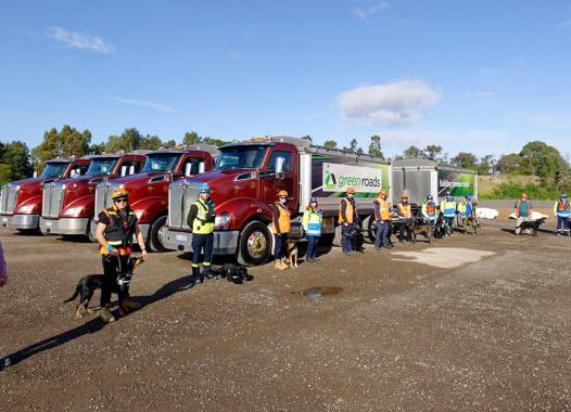 Eine Gruppe Freiwilliger mit ihren Rettungshunden vor Lastwagen